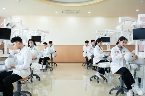 Ngành mới cùng học bổng giá trị tại Đại học Nam Cần Thơ - Cơ hội lớn cho thí sinh năm 2026