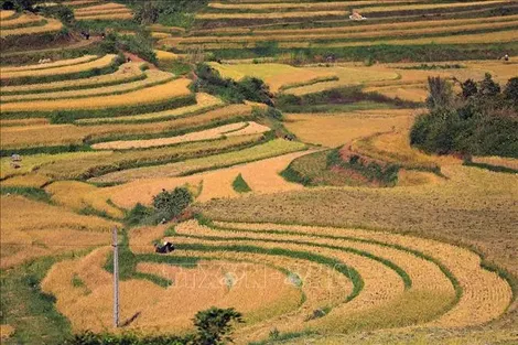 Du lịch Việt Nam bứt phá 'mùa vàng' cuối năm