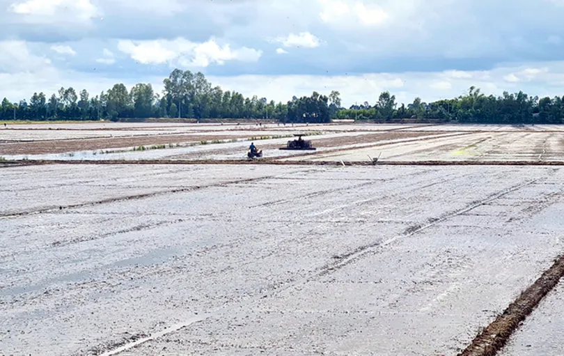 Tăng cường bảo vệ, đảm bảo sản xuất an toàn, hiệu quả vụ lúa đông xuân