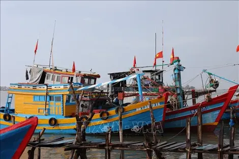 Bài 2: Khẳng định hình ảnh quốc gia biển xanh, trách nhiệm và hội nhập