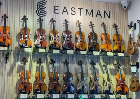 Vì sao nên chọn đàn violin Eastman - Thương hiệu được giáo viên, nghệ sĩ tin dùng