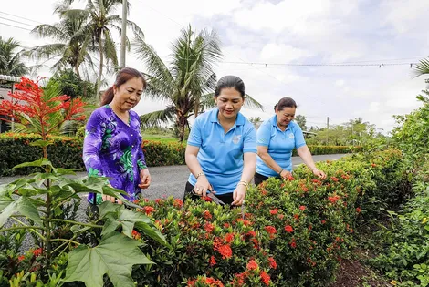 Chung sức xây dựng gia đình 5 không, 3 sạch