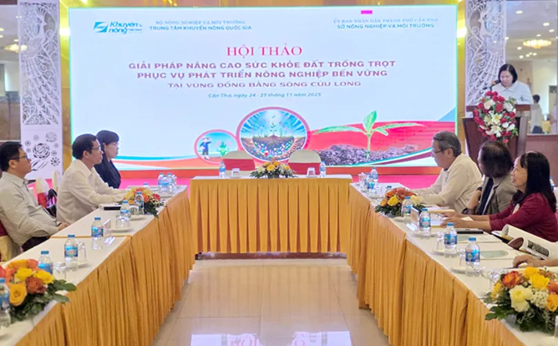 Nâng cao sức khỏe đất trồng trọt để phát triển nông nghiệp bền vững