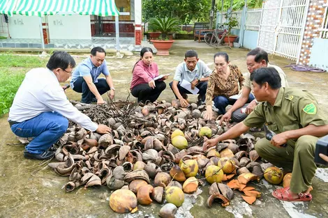 Xã Long Phú đẩy mạnh chiến dịch diệt lăng quăng, phòng, chống 
sốt xuất huyết