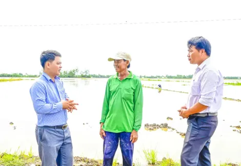 An Giang phát triển kinh tế tập thể nông thôn