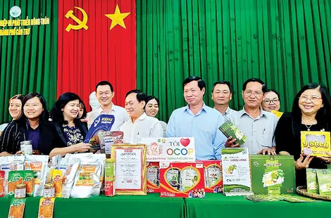 Thành lập Hội đồng, Tổ tư vấn Hội đồng đánh giá, phân hạng sản phẩm OCOP