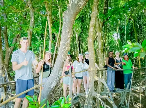 Khám phá "Cầu tre xuyên rừng" ở Cù Lao Dung
