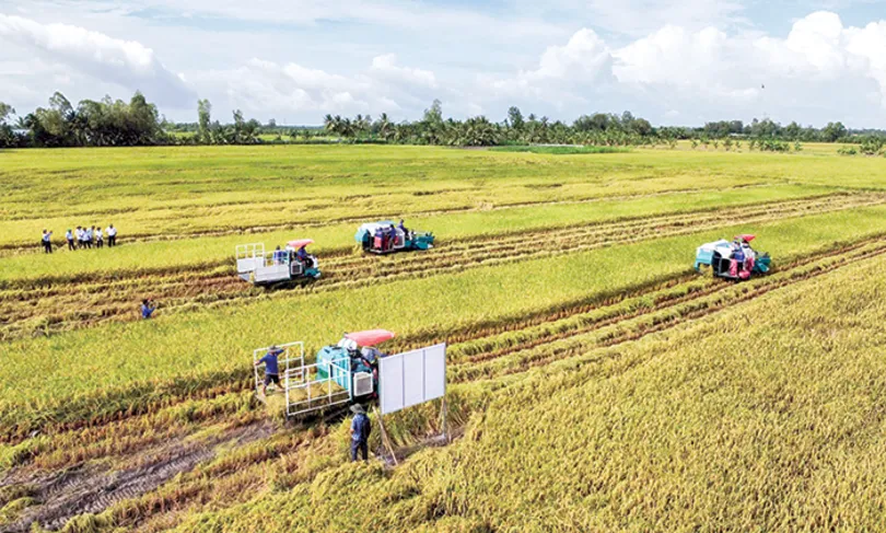 Liên kết nội vùng thúc đẩy tăng trưởng kinh tế ĐBSCL