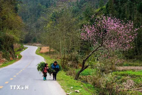 Cao nguyên đá Đồng Văn - Điểm đến văn hóa hàng đầu thế giới 2025