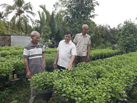 Phát huy tốt dân chủ để huy động hiệu quả các nguồn lực