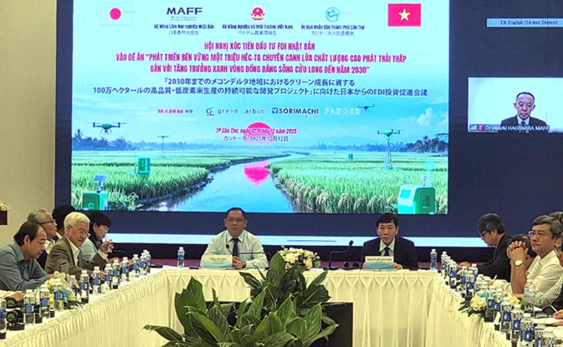 Hợp tác với Nhật Bản phát triển vùng lúa chất lượng cao, phát thải thấp tại ĐBSCL