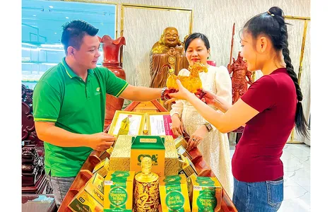 Làm mới sản phẩm OCOP phục vụ Tết Nguyên đán