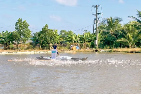 Chú trọng phát triển nuôi trồng thủy sản chủ lực