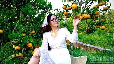 Quýt hồng vào mùa đẹp nhất năm, mở cửa đón khách