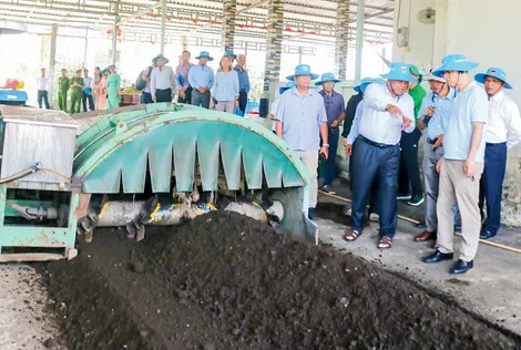 Phát huy hiệu quả sử dụng rơm rạ theo hướng tuần hoàn