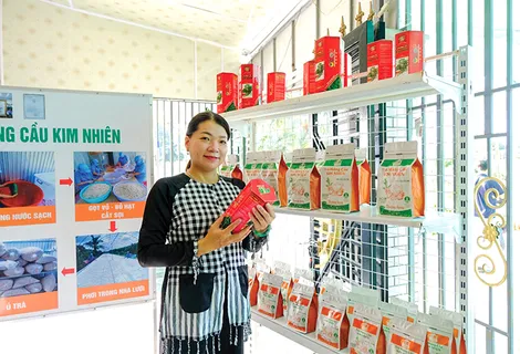 Thúc đẩy phát triển kinh tế nông thôn