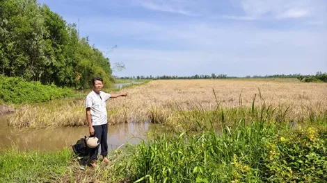 Nông dân ở các xã vùng trũng bị thiệt hại nặng do ruộng vườn ngập sâu