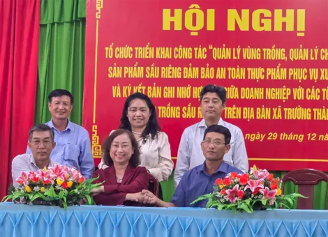 Tăng cường liên kết trồng sầu riêng tại xã Trường Thành