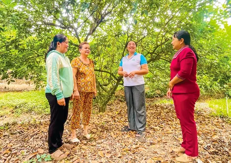Đoàn kết giúp nhau nâng cao mức sống