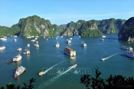 Việt Nam trở thành điểm đến được ưa chuộng hàng đầu năm 2026