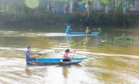 Đua xuồng ba lá và trình diễn đờn ca tài tử trên sông Trà Nóc