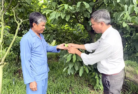 Trên 24.470 người cao tuổi làm kinh tế giỏi
