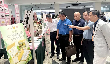 Đã hình thành 5 mạng lưới đổi mới sáng tạo chuyên ngành trong các lĩnh vực công nghệ chiến lược