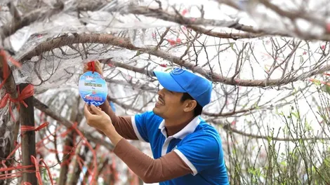 Những chuyến tàu chở mùa xuân từ đất liền ra đảo