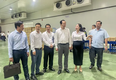 Vượt khó, giữ đà tăng trưởng