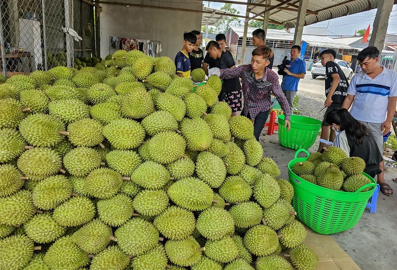 Kỷ lục xuất khẩu và khẳng định vị thế trụ đỡ của nền kinh tế