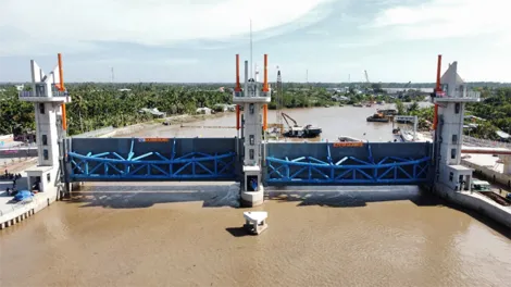 Mặn có xu hướng giảm, cần tranh thủ tích nước phục vụ sản xuất nông nghiệp