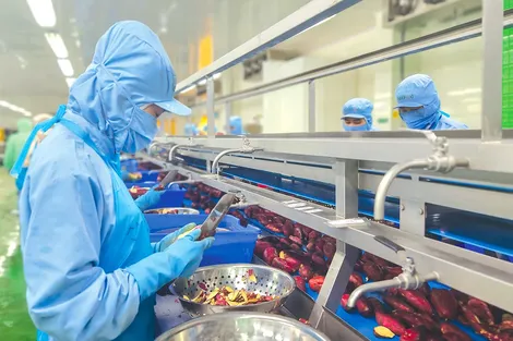 Có 36 mặt hàng đạt kim ngạch xuất khẩu trên 1 tỉ USD trong năm 2025