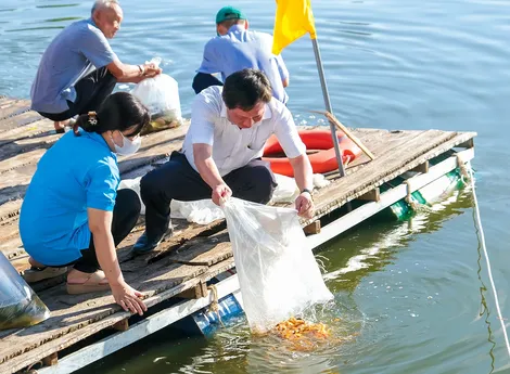 Xây dựng mô hình đồng quản lý bảo vệ nguồn lợi thủy sản