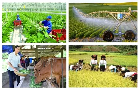 Niềm tin vững, khát vọng lớn - Bài 13: Nông nghiệp khẳng định vai trò trụ đỡ, bứt phá, phát triển