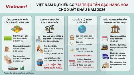 Nguồn cung gạo xuất khẩu năm 2026 dự kiến đạt 7,73 triệu tấn
