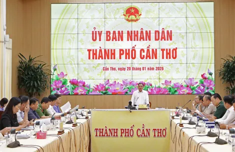 Tập trung thi hành án đối với các vụ việc có giá trị lớn