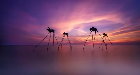 Phú Quốc và Bangkok dẫn đầu tìm kiếm du lịch Tết Nguyên đán 2026