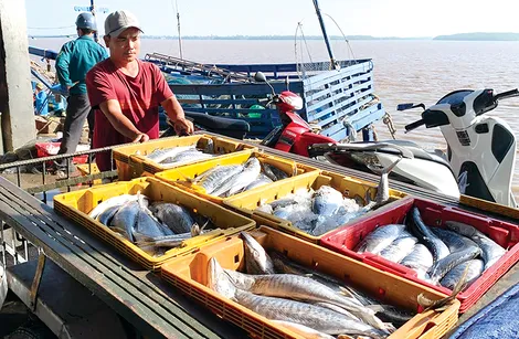 Tăng cường giải pháp khai thác và nuôi trồng thủy sản an toàn, bền vững