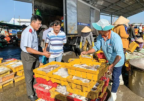 Đảm bảo 100% tàu cá xuất cảng khai thác thủy sản đúng quy định