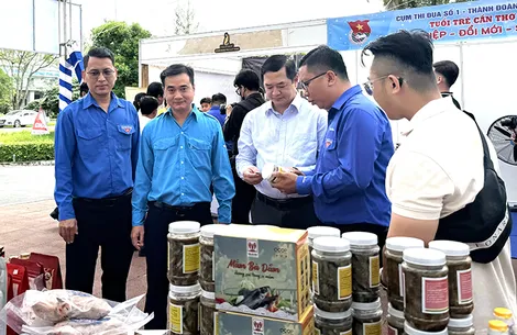 Tiếp tục hoàn thiện cơ chế, chính sách tạo đột phá cho phát triển TP Cần Thơ