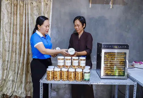 Đồng hành cùng phụ nữ khởi nghiệp