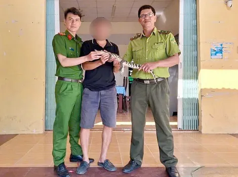 Người dân tự nguyện giao nộp cá sấu nuôi làm "thú cưng"