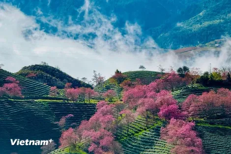 Du lịch Tết Bính Ngọ 2026 khởi sắc, mở đà tăng trưởng cho cả năm