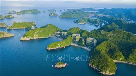 Việt Nam hoang dã - vẻ đẹp bí ẩn của thiên nhiên hồi sinh