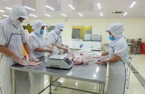 Trợ lực để doanh nghiệp nhỏ và vừa tiếp cận tín dụng hiệu quả