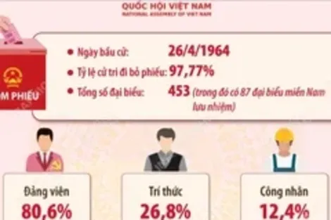 Kết quả bầu cử đại biểu Quốc hội khóa III