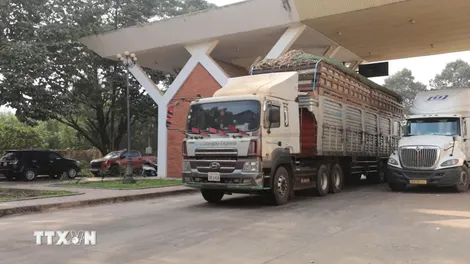 Khẩn trương giải tỏa ách tắc, thông quan kịp thời thực phẩm, hàng hóa