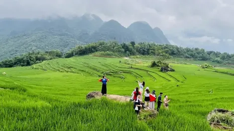 Thúc đẩy du lịch bền vững qua dự án Điểm đến tài năng sinh thái