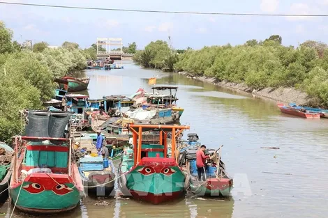 Cơ cấu lại đội tàu khai thác thủy sản theo hướng bền vững