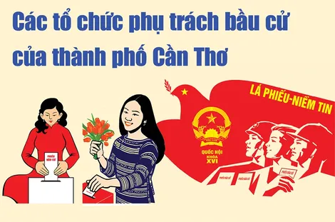 [INFOGRAPHICS] Các tổ chức phụ trách bầu cử của thành phố Cần Thơ